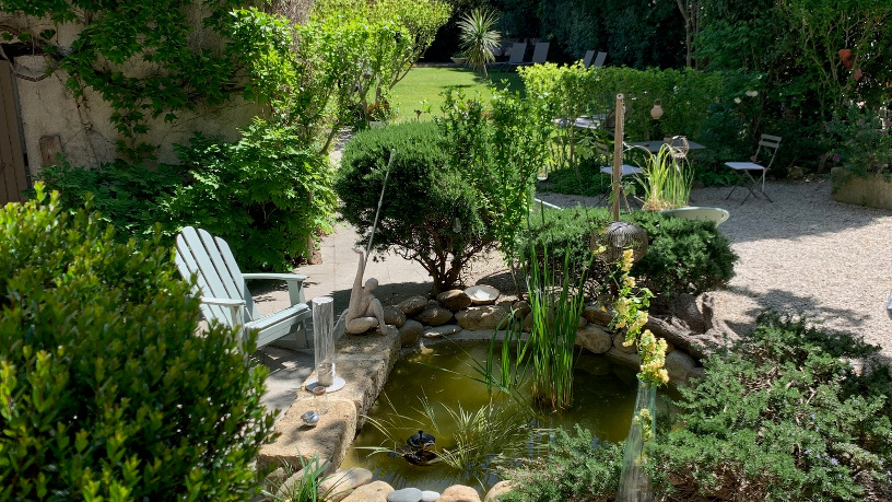 bassin poissons rouges